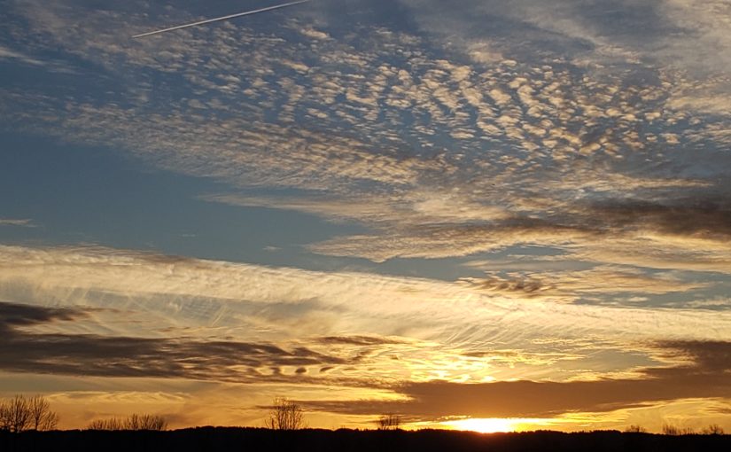 20190128_170049