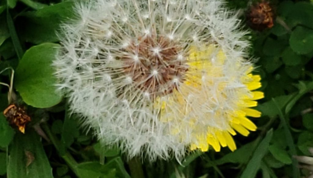 20190418_152439