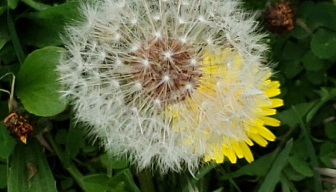 20190418_152439