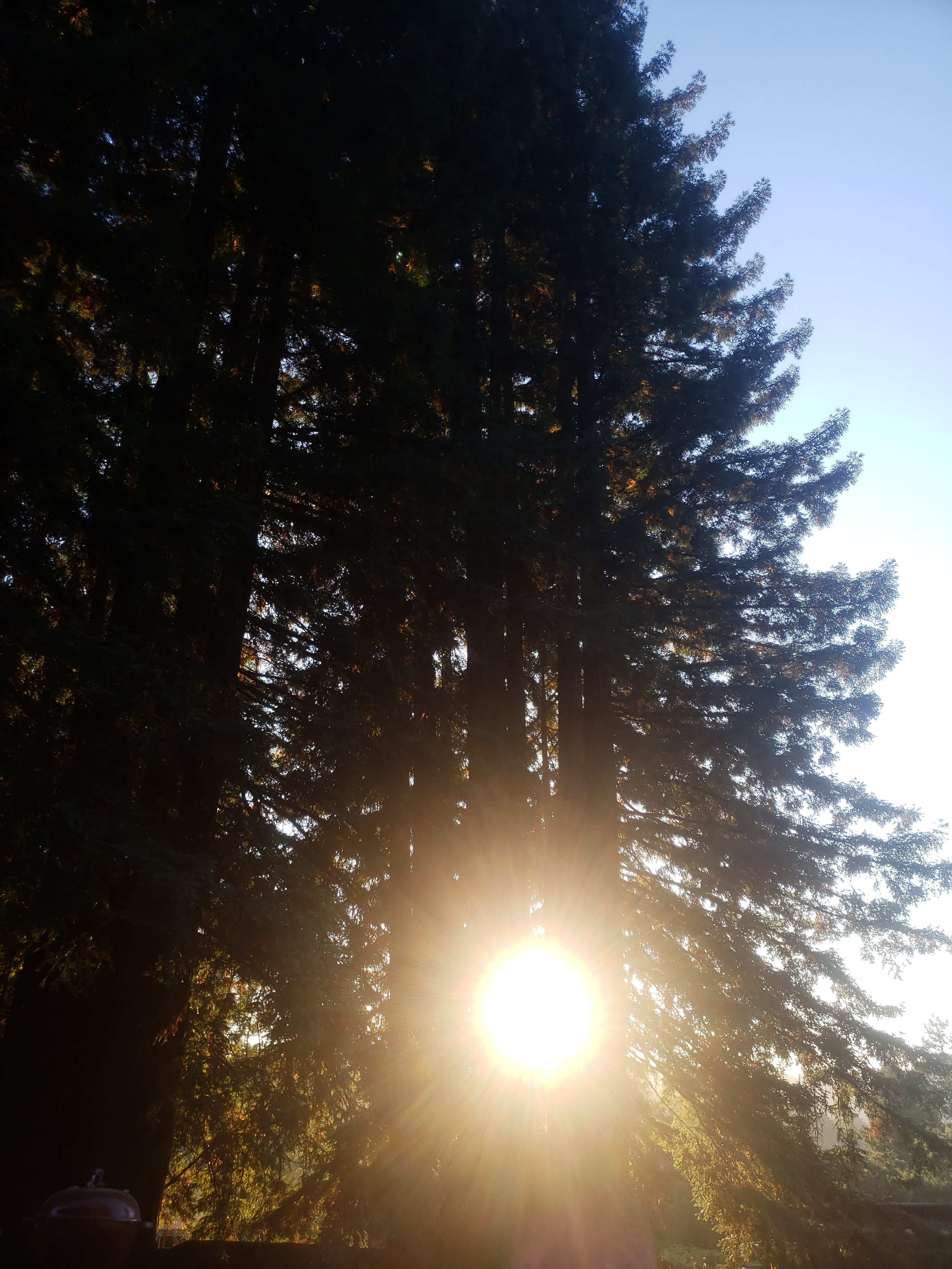 20190804_194303 20190804_194303